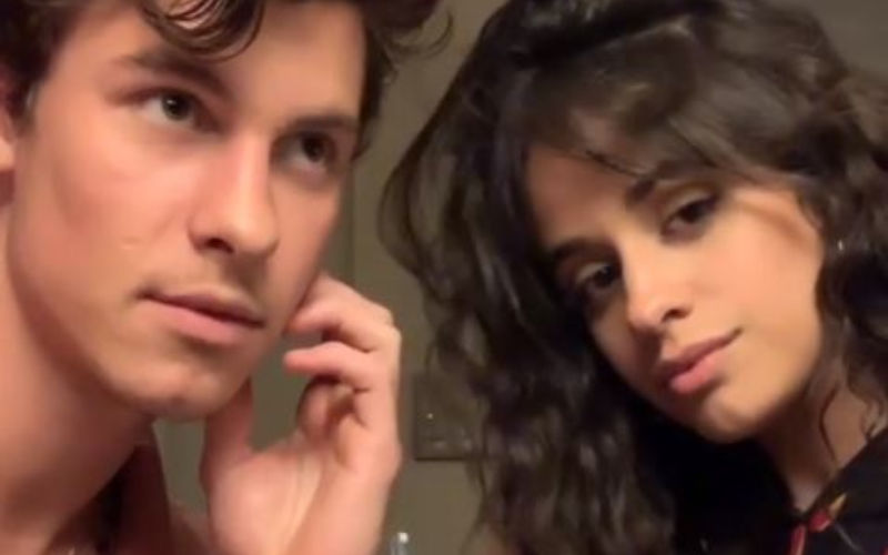 Camila Cabello and Shawn Mendes Kiss And Splash Some PDA At LA Clippers Game