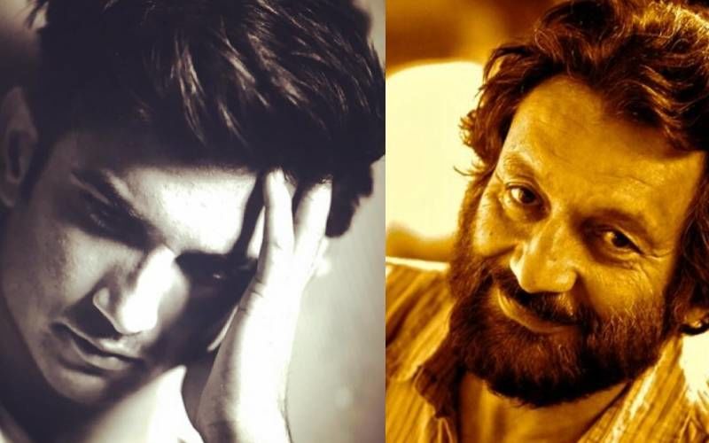Sushant Singh Rajput Death: Shekhar Kapur Claims He Knew The 'People Who Let Him Down'; Says The Late Actor Used To Weep On His Shoulder