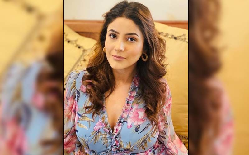 Shehnaaz Gill Looks Magnificent In A Floral Dress; Former Bigg Boss 13 Contestant's Beauty Will Leave You Spellbound