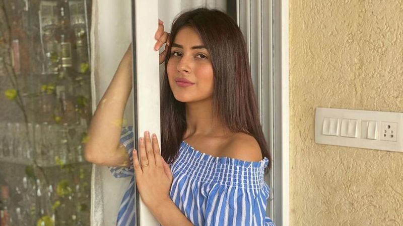 Shehnaaz Gill Looks Silent Yet Strong In First Appearances From 'Honsla Rakh’ Promotions; Fans Call Her 'Sherni'