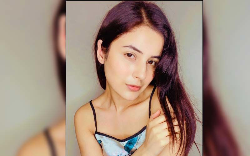 Shehnaaz Gill Has A Complete Makeover In New Sexy Photoshoot In An Orange Crop Top And Blue Denims; Check Out Her Ravishing PICS