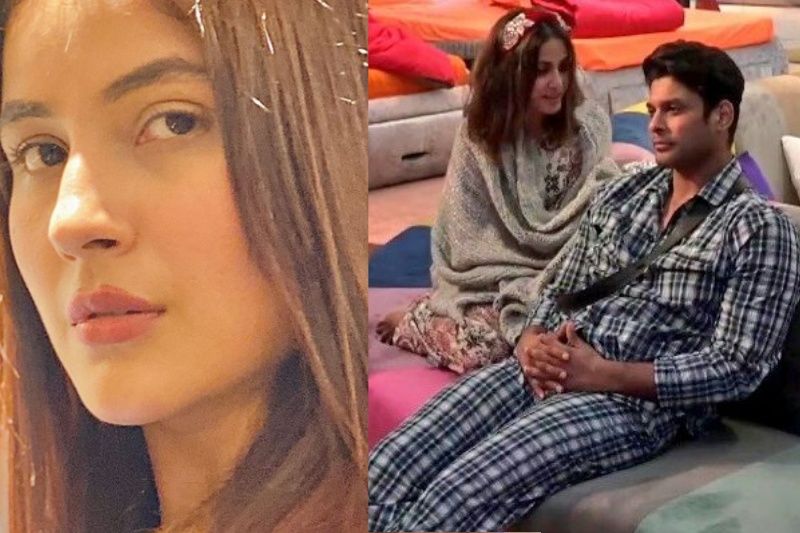Bigg Boss 14: Shehnaaz Gill Likes A Promo Describing Sidharth Shukla And Hina Khan As 'Siblings'; Netizens Say 'Insecurity At Its Peak'