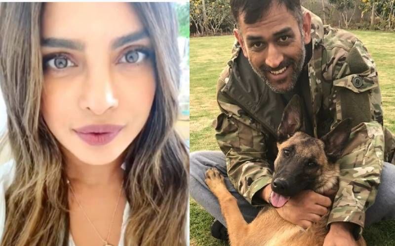 Priyanka Chopra Raises A Toast To MS Dhoni's Amazing Legacy As The Cricketer Retires From International Cricket