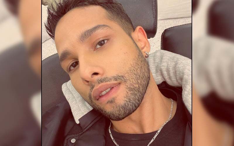Siddhant Chaturvedi On How He Landed Into A FAKE Audition For The Sequel Of Shah Rukh Khan's Josh; 'I Stood In Line For The Whole Day'