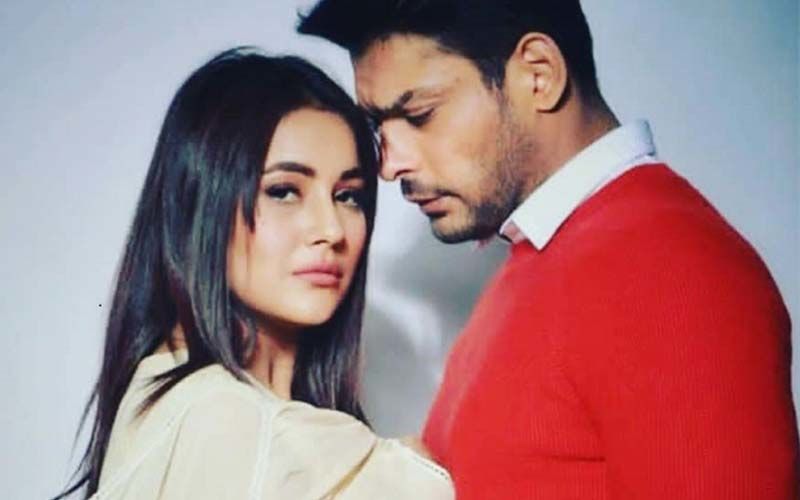 Bigg Boss 13 Stars Sidharth Shukla And Shehnaaz Gill's Happiest Pictures On The Internet