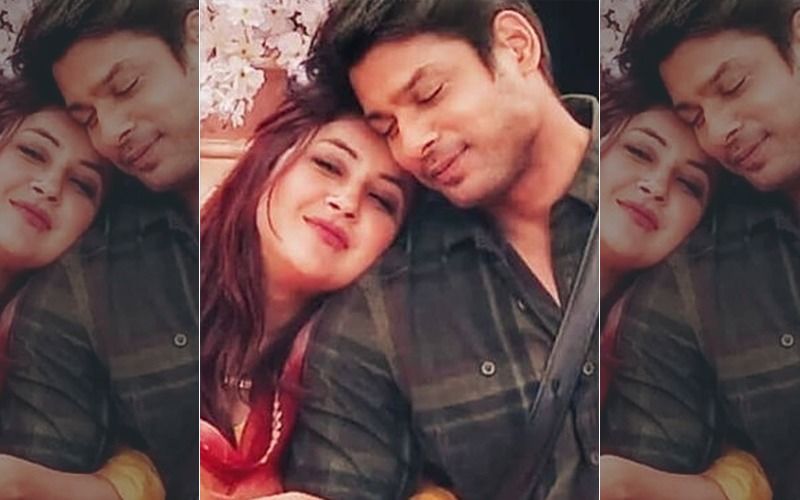 Bigg Boss 13 POLL: Was It Shehnaaz Gill's Game Plan To Get Close To Sidharth Shukla To Win The Show? Fans Verdict Out