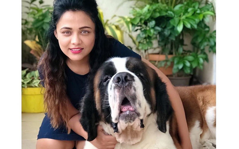 National Dog Day 2019: Pooja Sawant And Prarthana Behere Share Their 'Pawfect' Moments With Fans