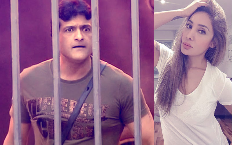 "Put Armaan Kohli In Jail," Demands Bigg Boss 7 Co-Contestant Sofia Hayat
