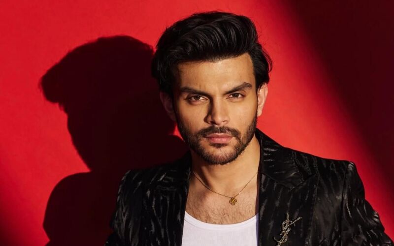 Veer Pahariya Reveals Being Inspired By Akshay Kumar To Opt For A Healthier Lifestyle, Says 'My Experience Has Been Greatly Influenced By Akshay Sir'