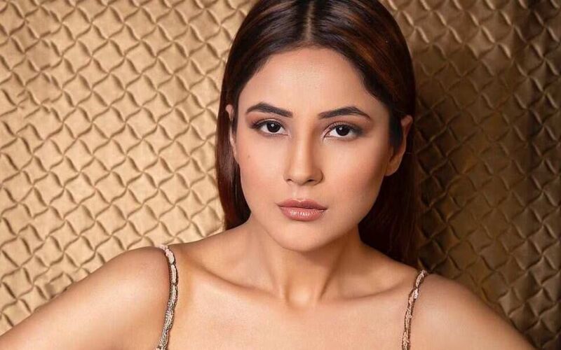 Shehnaaz Gill Buys Luxurious Mercedes Worth ₹1.65 Crore: From Dreams To Driveways