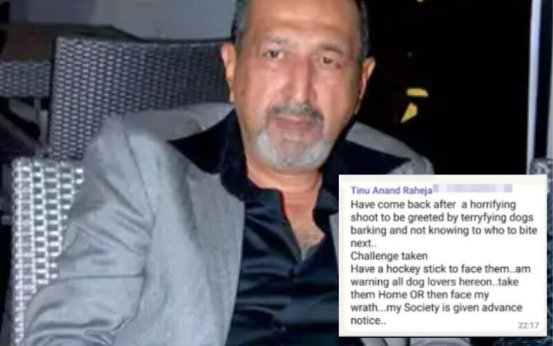 Tinnu Anand Faces Backlash For Threatening To Hit Stray Dogs Near Mumbai Home With 'Hockey Stick':  "Take Them Home Or Face My Wrath"