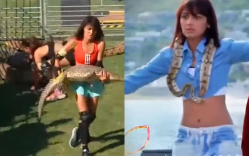 Khatron Ke Khiladi 12 PROMO OUT: Sriti Jha KISSES And Lifts Crocodile; Actress Also Balances On A Rope With Snake Around Her Neck- WATCH