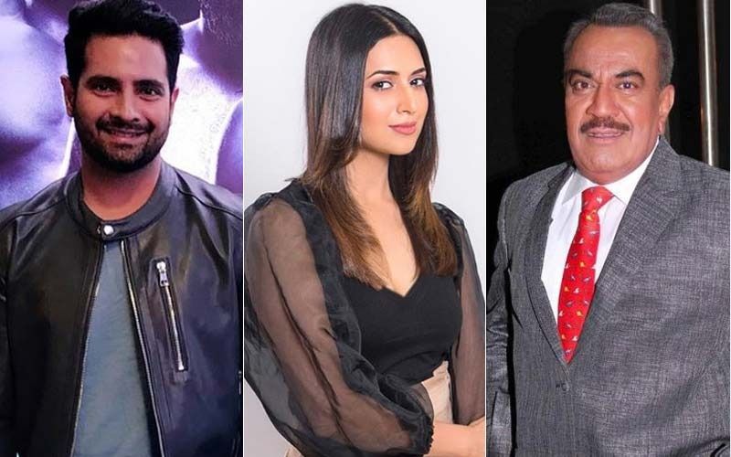 Did You Know What Profession Divyanka Tripathi, Karan Mehra, Shivaji Satam Worked In Before They Became Actors?