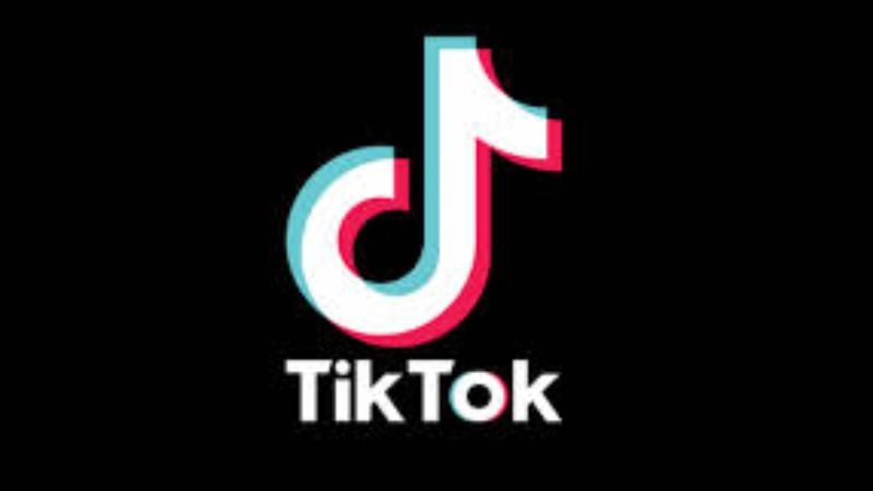 JUST IN: TikTok Among 59 Chinese Apps BANNED By Government Of India; Read Full List