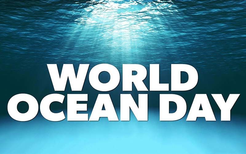 World Ocean Day 2020: 5 Things You Can Do To Contribute In Saving Our Oceans
