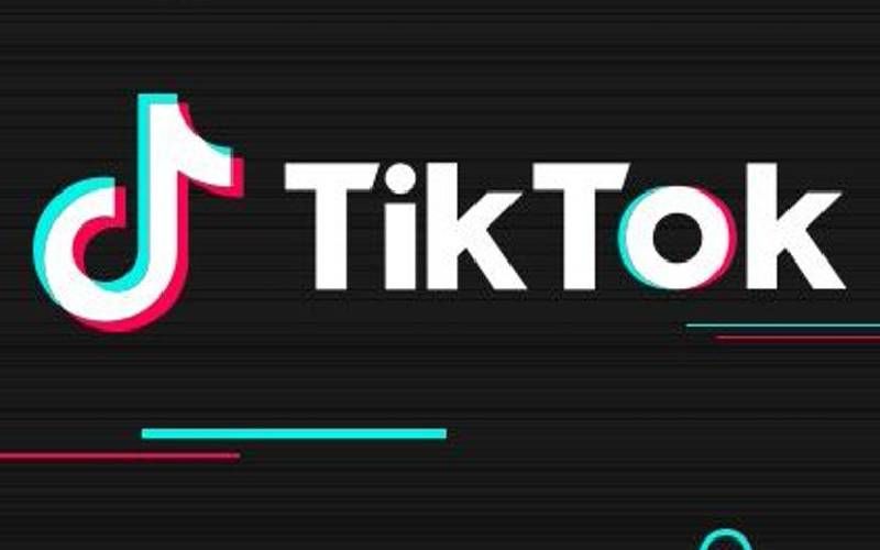 TikTok India Releases Official Statement Over It's Ban; To Meet Government Stakeholders To Issue A Clarification
