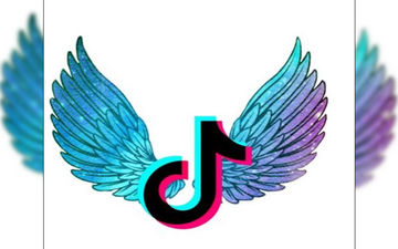 Funny TikTok Videos And Memes On 'Mere Halat Aise Hain' Going Viral Amid LOCKDOWN That Will Make You ROFL!
