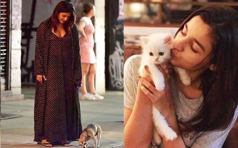 World Animal Day 2019: From Priyanka Chopra's Diana To Anushka Sharma's Dude, Here Are 10 Celebs With Their Super Adorable Pets