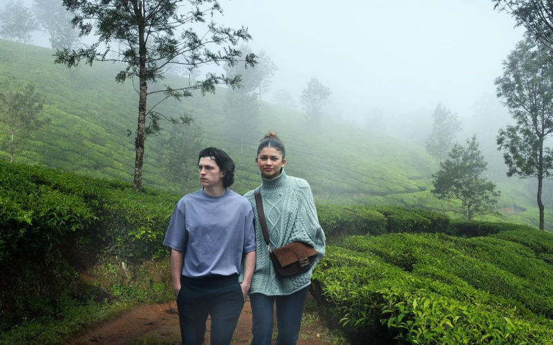 Tom Holland-Zendaya Visit Kerala’s Munnar? Lovebirds Stopped Holding Hands As They Explore The Tea Gardens! Fans Say, ‘It's Totally Real’
