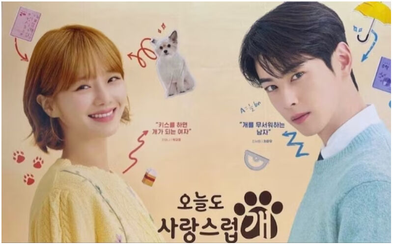 Cha Eun-Woo And Park Gyu-Young's Kissing Scene From ‘A Good Day To Be A Dog’ Leaves Netizens Impress! CHECK OUT THE REACTIONS