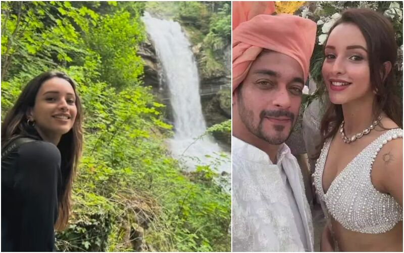Animal Star Triptii Dimri Treats Fans With A VIDEO Of Her Scenic Visit To A Beautiful Waterfall; Beau Sam Merchant REACTS - Read To Know