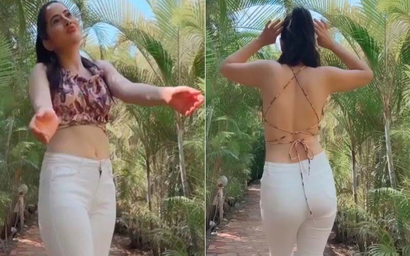 Urfi Javed Goes Braless And Raises The Hotness Quotient With Her Dance Moves; Netizen Reacts 'Please Pure Kapde Pehen Lo' -WATCH VIDEO