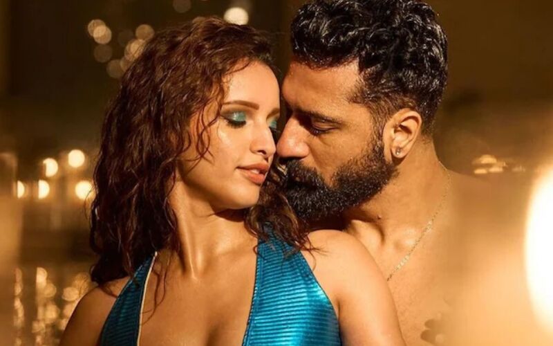 Vicky Kaushal-Triptii Dimri's 27-Seconds Of Kissing Scene Deleted From The Movie 'Bad Newz'- Here's What We Know!