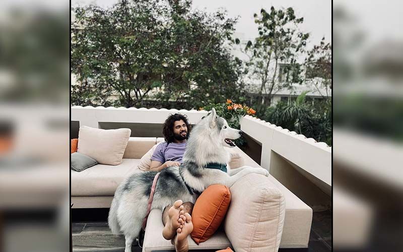 Arjun Reddy Star Vijay Deverakonda And His Furry Friend Storm Chilling Together Is The Best Thing You Will See On The Internet Today