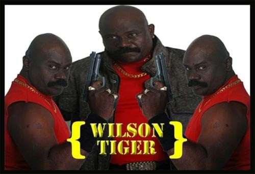 Vincent Tiger pic Vincent Tiger pic