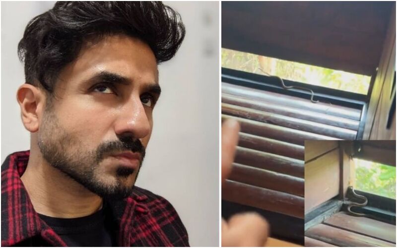 SHOCKING! Vir Das Enounters A Snake In His Bathroom That Fell From Ceiling Directly On To The Water Tank, Comedian Shares HORRIFYING Video – WATCH