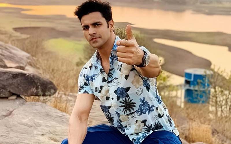 Vivek Dahiya's Struggling Days: Actor Gave 400 Auditions And Faced Casting Couch