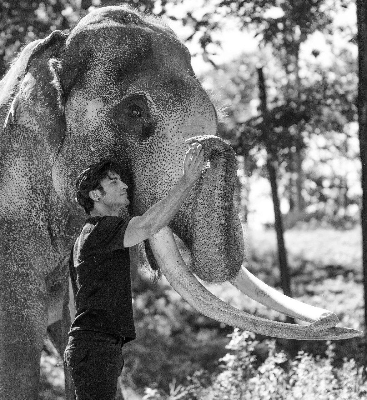 vidyut vidyut