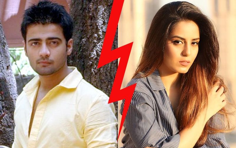 Manish Naggdev Bursts Out: "Srishty Rode Manipulated Me, Used Me For Professional Gains"