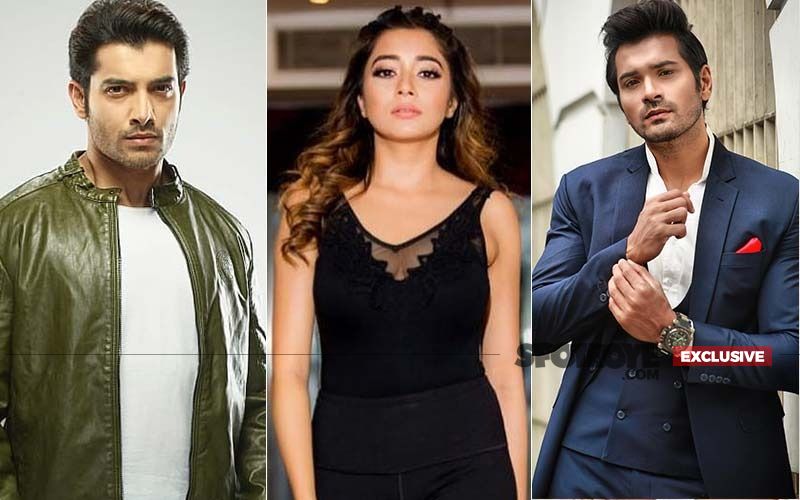 Article 370 Revoked In Jammu & Kashmir: Ssharad Malhotra, Tinaa Dattaa And Other TV Celebs Express Their Opinion: EXCLUSIVE