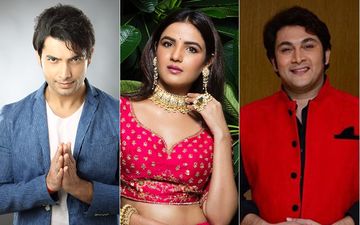 Krishna Janmashtami: Television Stars Jasmin Bhasin, Subuhi Joshi, Rajesh Kumar And Others Share The Teachings Of Lord Krishna
