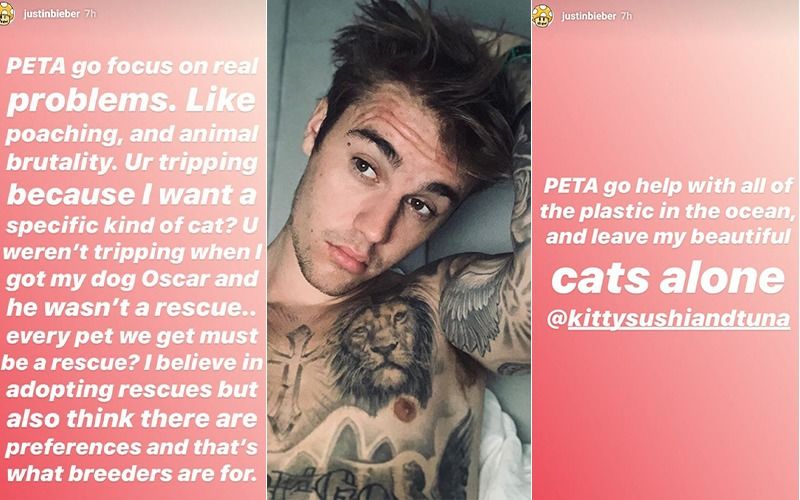 Justin Bieber Is Furious With PETA Thanks To His New Cat, Says 'PETA Can Go Suck It'