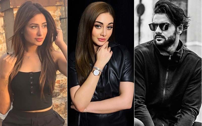 Bigg Boss 13 Identity Of Himanshi Khurana S Mystery Boyfriend.