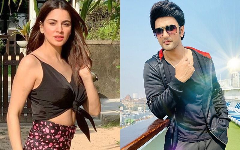 Countdown 2020: TV Celebs Shraddha Arya, Nishant Singh Malkani And More Reveal Their Exciting New Year’s Eve Plan