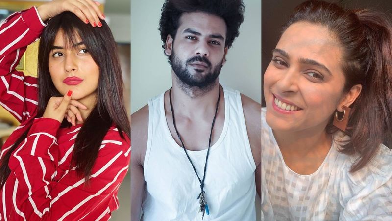 Lockdown Transformation: From Shehnaaz Gill To Ex-Lovers Vishal Aditya Singh-Madhurima - THESE Stars Look A Lot Different
