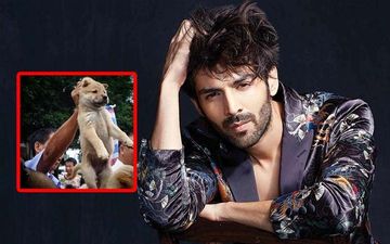 China Kickstarts Annual Dog-Meat Eating Festival Amid Coronavirus Pandemic; Kartik Aaryan Is Disgusted, 'Har Saal Dil Todte Hain'