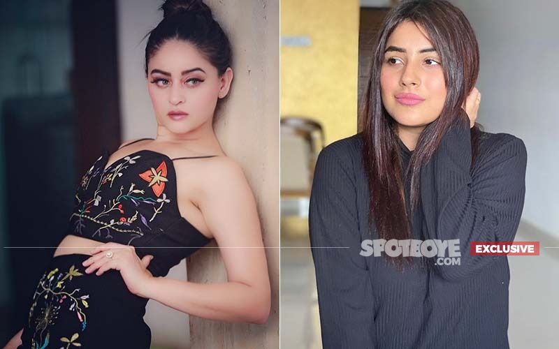 Mahhi Vij Gets Accused Of Borrowing Clothes And Not Returning For Shehnaaz Gill's Bigg Boss 13 Stay; Stylist Faces The Wrath Of Fans For Defaming The Actress