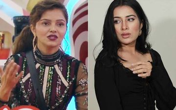 Bigg Boss 14: After Salman Khan Pulls Up Rubina Dilaik For Violence Allegations, Sara Gurpal Has This To Say