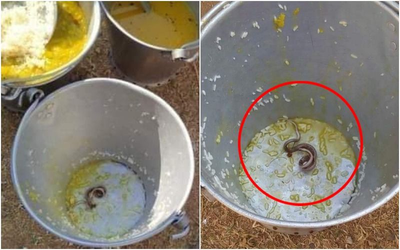 VIRAL! Snake Found In Children’s Mid-Day Meal Leaving 30 Children Unwell After Consuming Food-SEE PICS