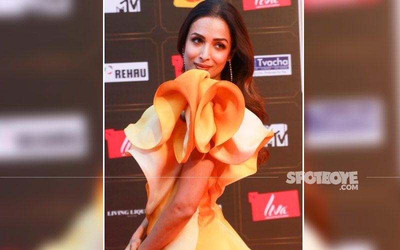 Malaika Arora Gives A Peek Into Her Lavish House During The Magic Hour- See Pic