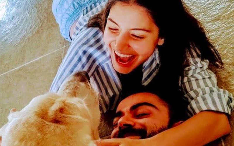 Anushka Sharma And Virat Kohli Give A Big Shoutout To Shiv Sena Leader Rahul N Kanal For His Animal Welfare Work- New Video