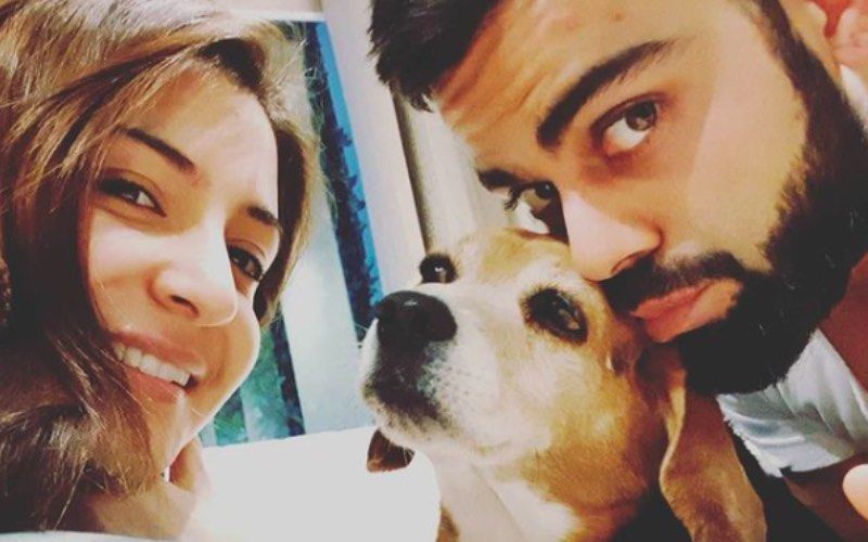 Virat Kohli’s Foundation Takes 'First Step' Towards Animal Welfare; Thanks Wife Anushka Sharma For Inspiring Him