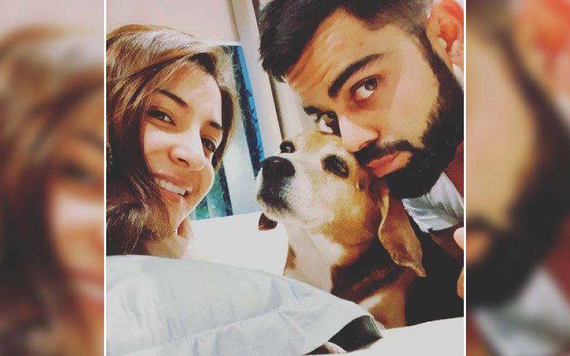 Anushka Sharma's House Is Filled With Flower Bouquets; Looks Like It's Pouring Wishes For Anushka And Virat Kohli On Their Wedding Anniversary