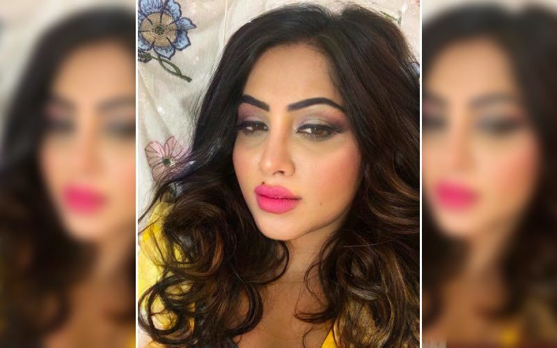 Arshi Khan Accident: Ex Bigg Boss Contestant Says ‘Thankful To God That I Did Not Suffer Any Internal Injuries’, I Will Recover Soon’