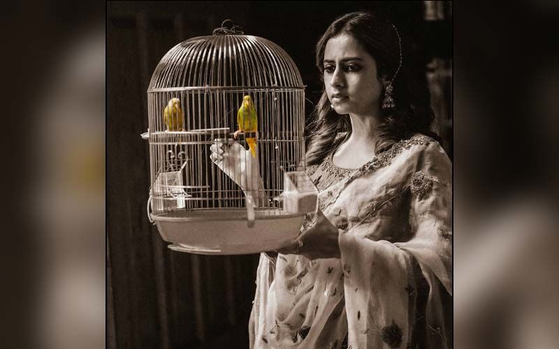 Sargun Mehta Shares Another Beautiful Pic From Her Upcoming Song Titliaan
