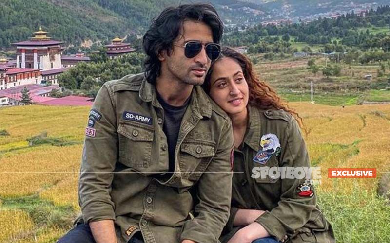 Shaheer Sheikh WEDDING INTERVIEW: Speaks About Ruchikaa Kapoor, Family's Reaction And Honeymoon Plans- EXCLUSIVE VIDEO